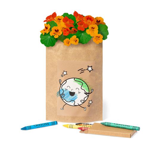 Grow pouch flowers - Image 4